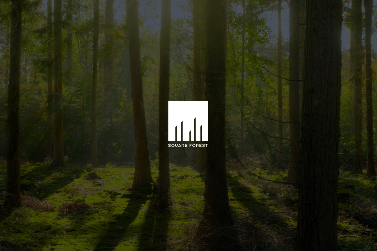 Square Forest