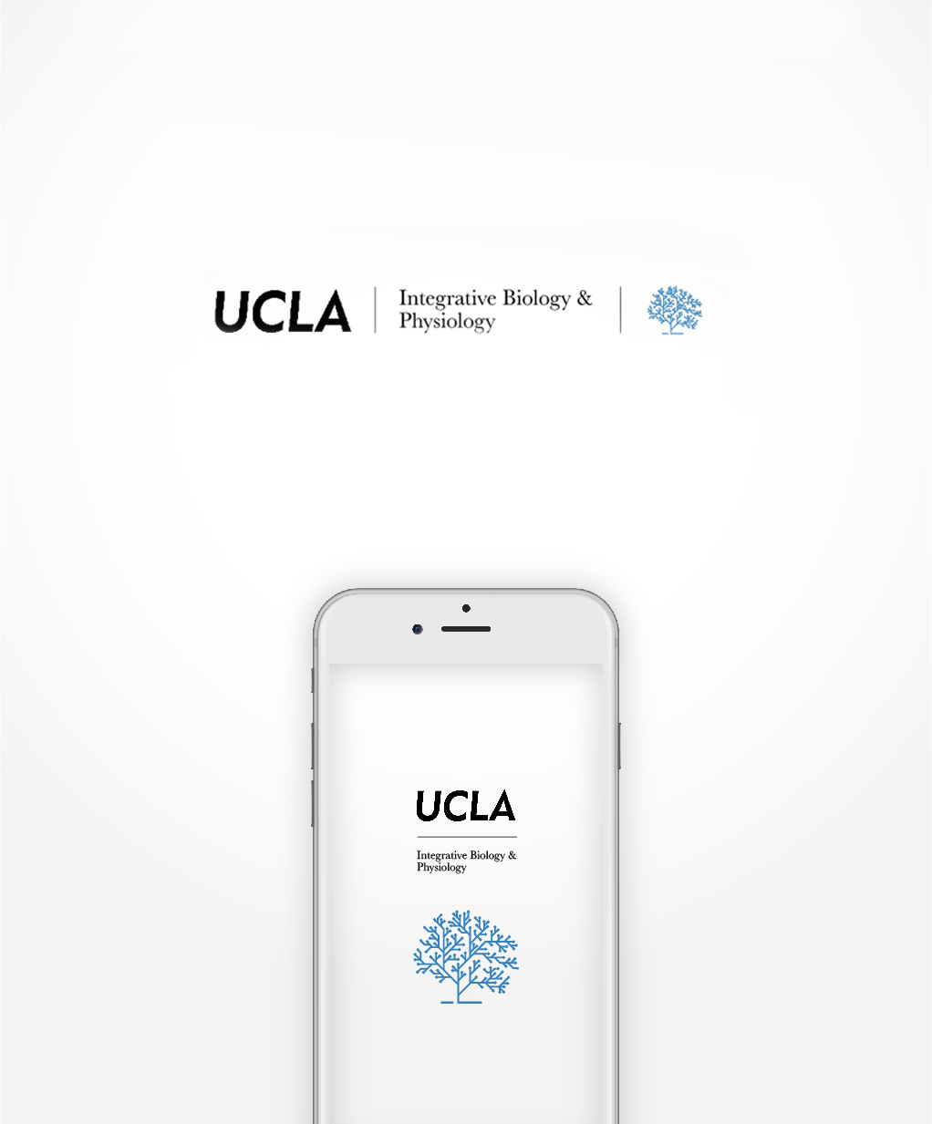 Ucla 
